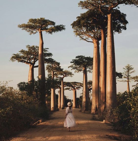 //www.som2travel.es/cdn/images/content/Madagascar/Madagascar Pequeña 1.jpg